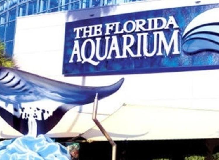 Find Parking Near Florida Aquarium in TAMPA, FL